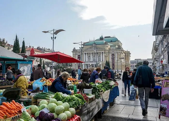 Deluxe 4 Star Studio Риека